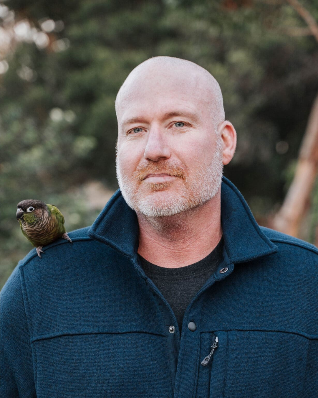 Matt Finch - Strategic Recovery