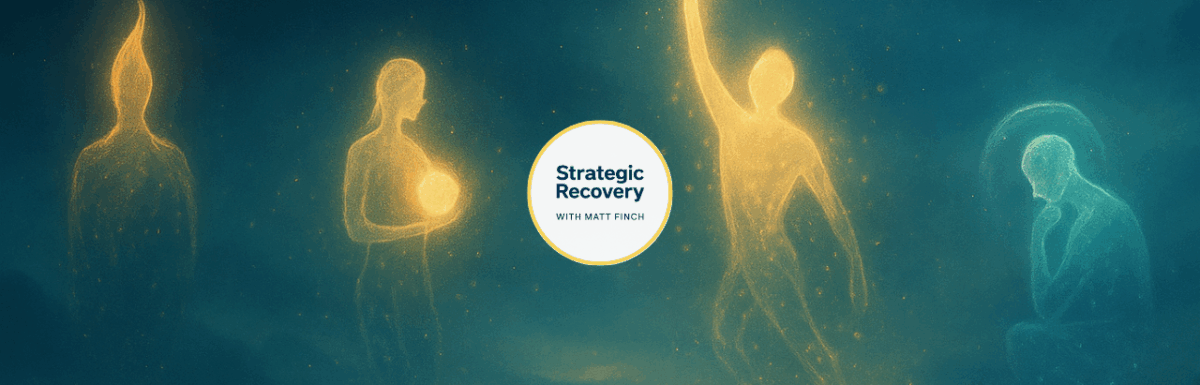 strategic recovery 4 archetypes of addiction recovery