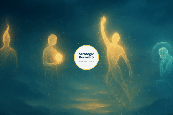 strategic recovery 4 archetypes of addiction recovery