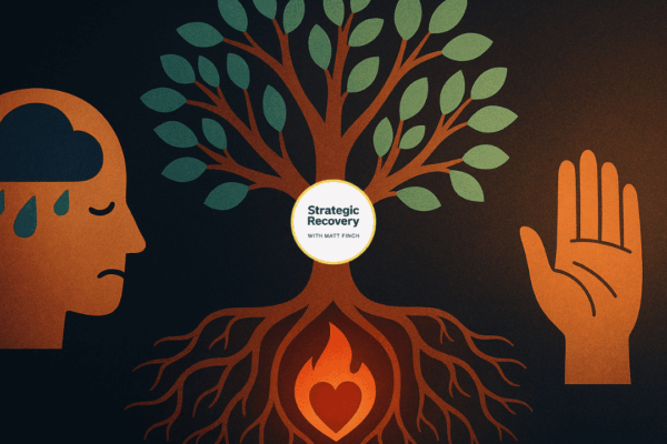 emotional root of addiction