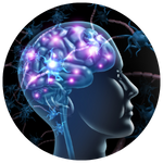 Biochemical Repair pillar icon