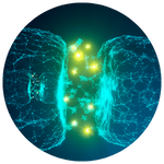 Dopamine Nation by Dr. Anna Lembke