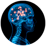 High-sensation seeker illustration