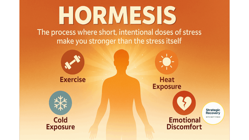 Infographic showing a radiant person surrounded by icons for exercise, cold exposure, heat exposure, fasting, and emotional growth — symbolizing the hormesis process where short, intentional stress builds resilience and strength.