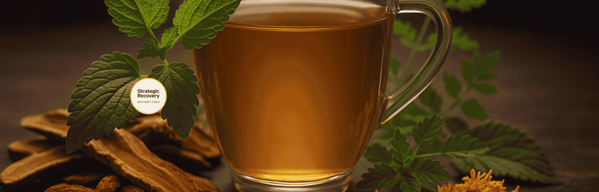 A steaming glass cup of golden herbal tea surrounded by lemon balm leaves, goji berries, reishi slices, and other Chinese tonic herbs under warm evening light, symbolizing the calming and restorative essence of Dragon Balm Tea™.