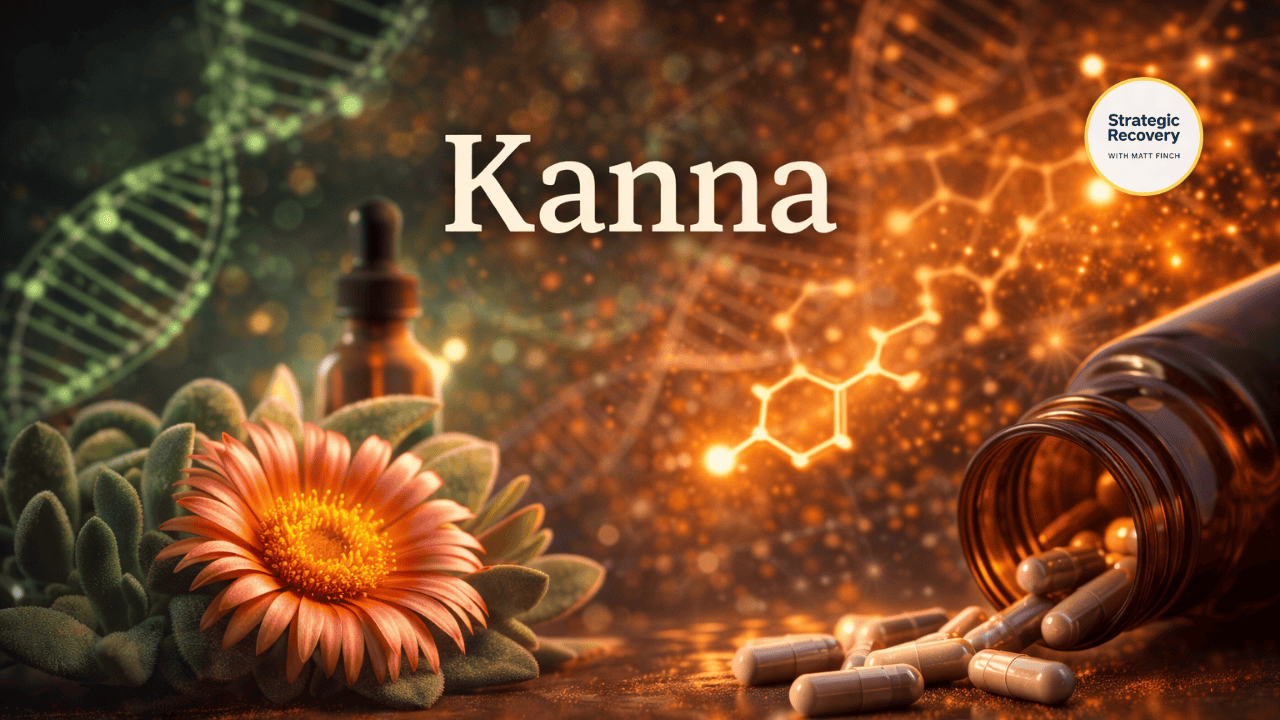 Kanna (Sceletium tortuosum) capsules and plant with neural and biochemical imagery, representing calm serotonin regulation and emotional connection in addiction recovery.