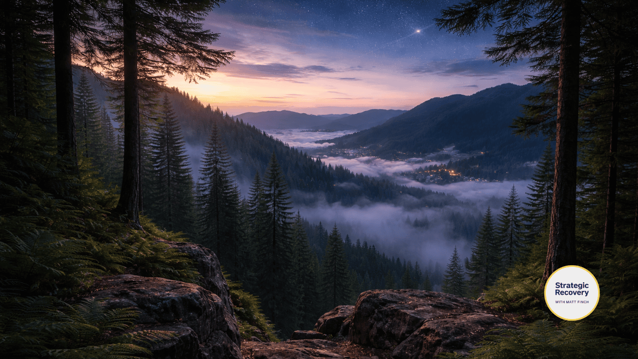 Twilight forest overlook with mist-filled valley and distant lights beneath a starry sky, evoking nervous system calibration, integration, and steady recovery.
