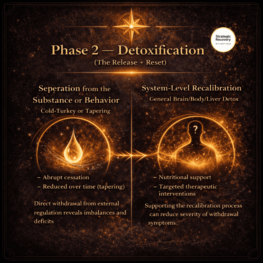Phase 2 detoxification infographic showing separation from the substance or behavior and system-level recalibration during addiction recovery